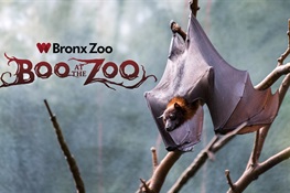 Bronx Zoo's Beloved ‘Boo at the Zoo’ Continues Tradition in 2023